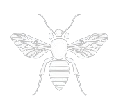 Image vectorielle blanche d'un frelon